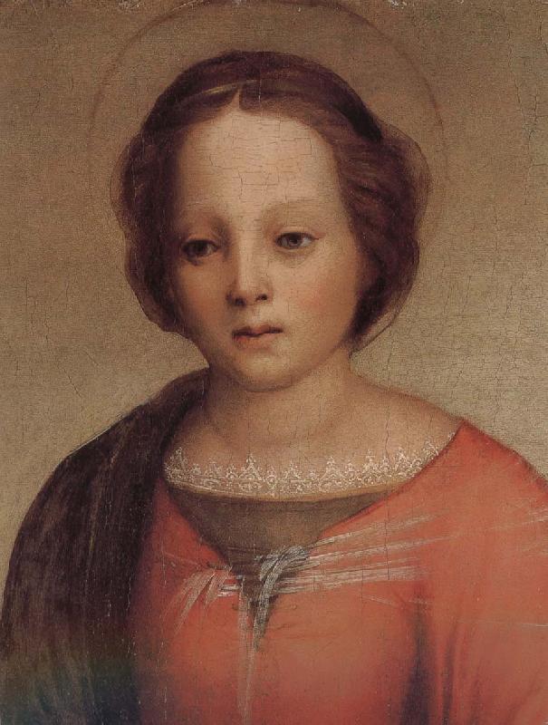 Andrea del Sarto Mary in detail oil painting image